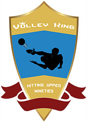 Volley King