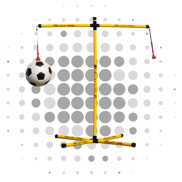 Volley like a <span>KING!</span>
